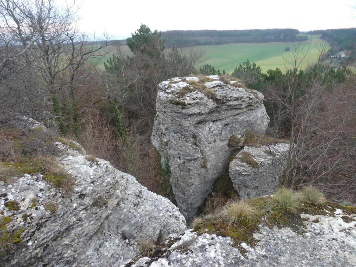 Le Flav - Charmant Appartement A 10 Mn De Dijon Flavignerot Exteriér fotografie