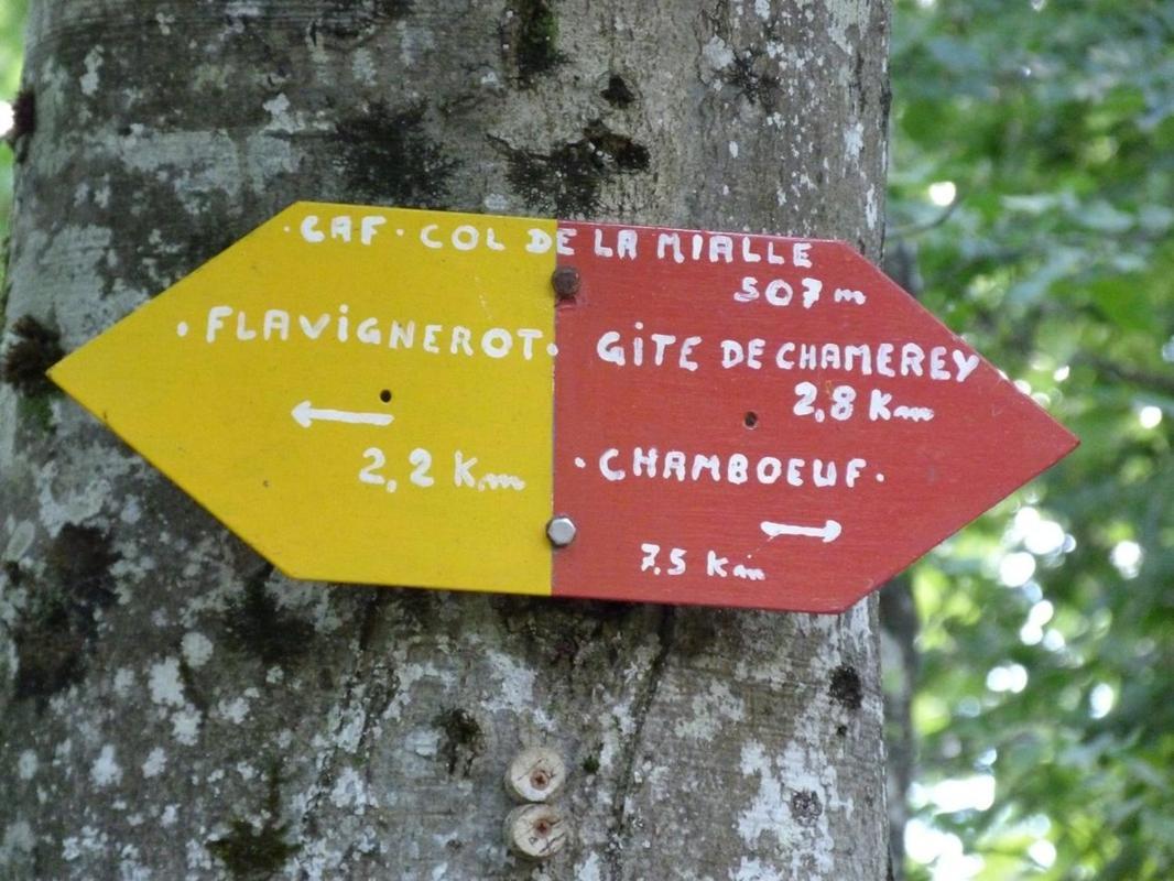Le Flav - Charmant Appartement A 10 Mn De Dijon Flavignerot Exteriér fotografie